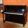 Yamaha P-121 HG von 2006 in Zwart glimmend