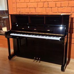 Yamaha P-121 HG von 2006 in Zwart glimmend