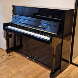 Zimmermann S4 von 2024 in Zwart glimmend