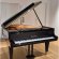 Bösendorfer 170 von 1999 in Zwart glimmend
