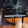 C. Bechstein B 203 von 1912 in Zwart glimmend