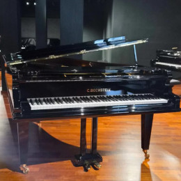 C. Bechstein B 203 von 1912 in Zwart glimmend