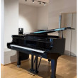 W.Hoffmann P-162 Silver Edition von 2013 in Zwart glimmend