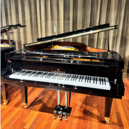 C. Bechstein L-167 Vario von 2024 in Zwart glimmend