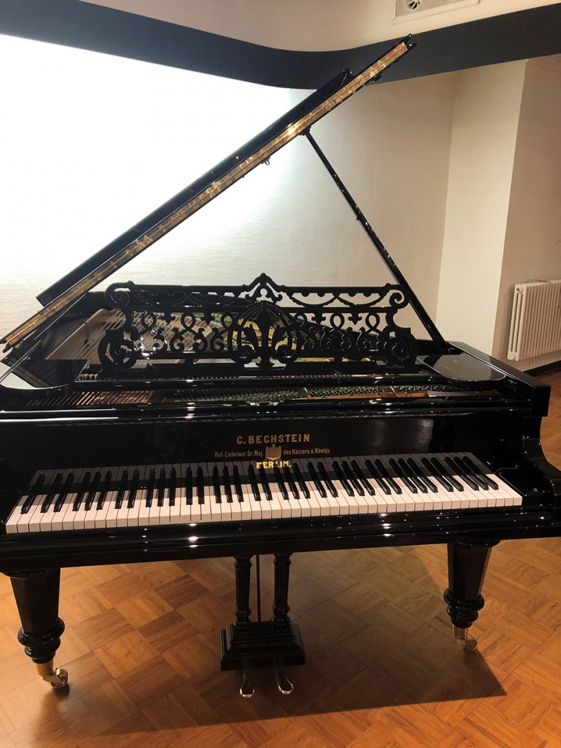 C. Bechstein V von 1886 in Zwart glimmend