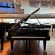 C. Bechstein D-282 von 2018 in Zwart glimmend