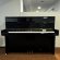 C. Bechstein 116 Millenium von 2010 in Zwart glimmend