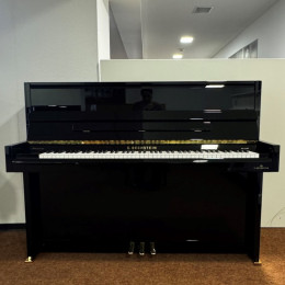 C. Bechstein 116 Millenium von 2010 in Zwart glimmend