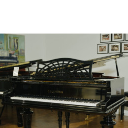 C. Bechstein B-203 von 1921 in Zwart glimmend