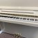 Schimmel Classic C 120 Tradition von 2021 in Wit glimmend