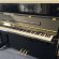 Schimmel F 121 Tradition von 2020 in Zwart glimmend