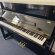 Schimmel F 121 Tradition von 2020 in Zwart glimmend