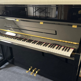 Schimmel F 121 Tradition von 2020 in Zwart glimmend
