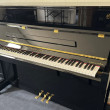 Schimmel F 121 Tradition von 2020 in Zwart glimmend