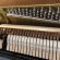 Yamaha P 116 von 2005 in Zwart glimmend