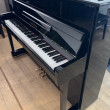 Yamaha P 116 von 2005 in Zwart glimmend