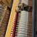 C. Bechstein A 124 Style Vario von 2021 in Zwart glimmend
