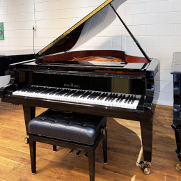 Schimmel K-189 von 1012 in Zwart glimmend