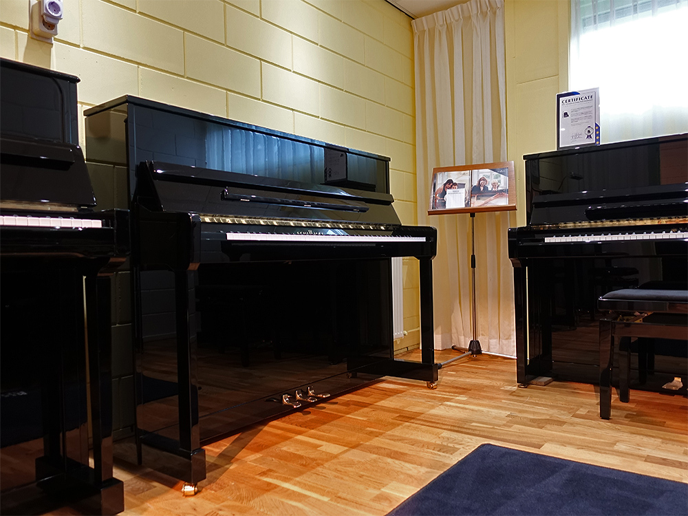 Schimmel C116 T von 1994 in Zwart glimmend