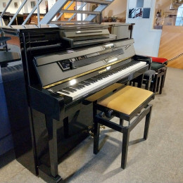 W.Hoffmann V112 von 2010 in Zwart glimmend