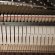 Yamaha b1 SG2 von 2012 in Wit glimmend