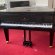 Schimmel F 156 Tradition von 24 in Zwart glimmend