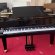 Schimmel F 156 Tradition von 24 in Zwart glimmend