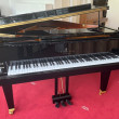 Schimmel F 156 Tradition von 24 in Zwart glimmend