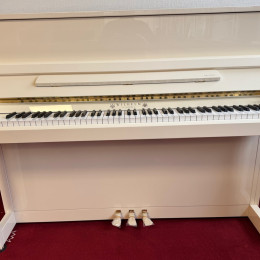 Schimmel W 114 Tradition von 2018 in Wit glimmend