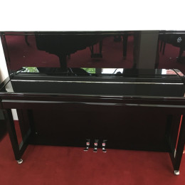 Schimmel Fridolin F 116 Tradition von 26 in Zwart glimmend