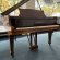 Steinway & Sons S-155 von 1964 in Noten glimmend