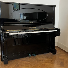 C. Bechstein 140 von 1902 in Zwart glimmend