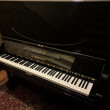C. Bechstein 140 von 1902 in Zwart glimmend
