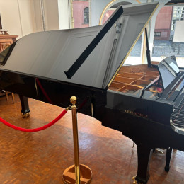 Gebr. Schulz G-285 von 2018 in Zwart glimmend