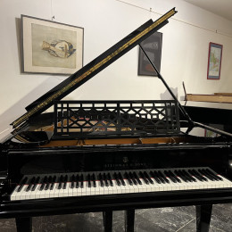 Steinway & Sons O-180 von 1911 in Zwart glimmend