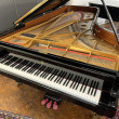 Steinway & Sons D 274 von 1985 in Zwart glimmend