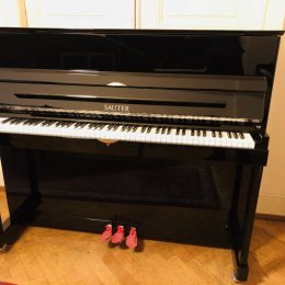 Sauter 122 Vista von 2001 in Zwart glimmend