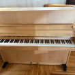 Sauter 120 von 1989 in Eiken mat