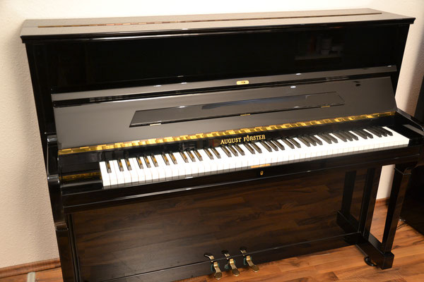 Förster 120 Super von 1993 in Zwart glimmend