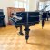 C. Bechstein 200cm von 1881 in Zwart glimmend