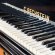 C. Bechstein 200cm von 1881 in Zwart glimmend