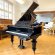 C. Bechstein 200cm von 1881 in Zwart glimmend