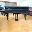 C. Bechstein 200cm von 1881 in Zwart glimmend