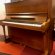 C. Bechstein 8A von 1988 in Hout mat