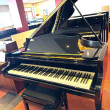 C. Bechstein L 167 von 1976 in Zwart glimmend