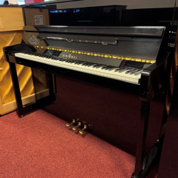 Schimmel 116 S von 2001 in Zwart glimmend