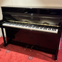 Grotrian-Steinweg Friedrich Grotrian von 2006 in Zwart glimmend