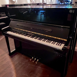 Schimmel 126 von 2017 in Zwart glimmend