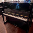 Schimmel 126 von 2017 in Zwart glimmend