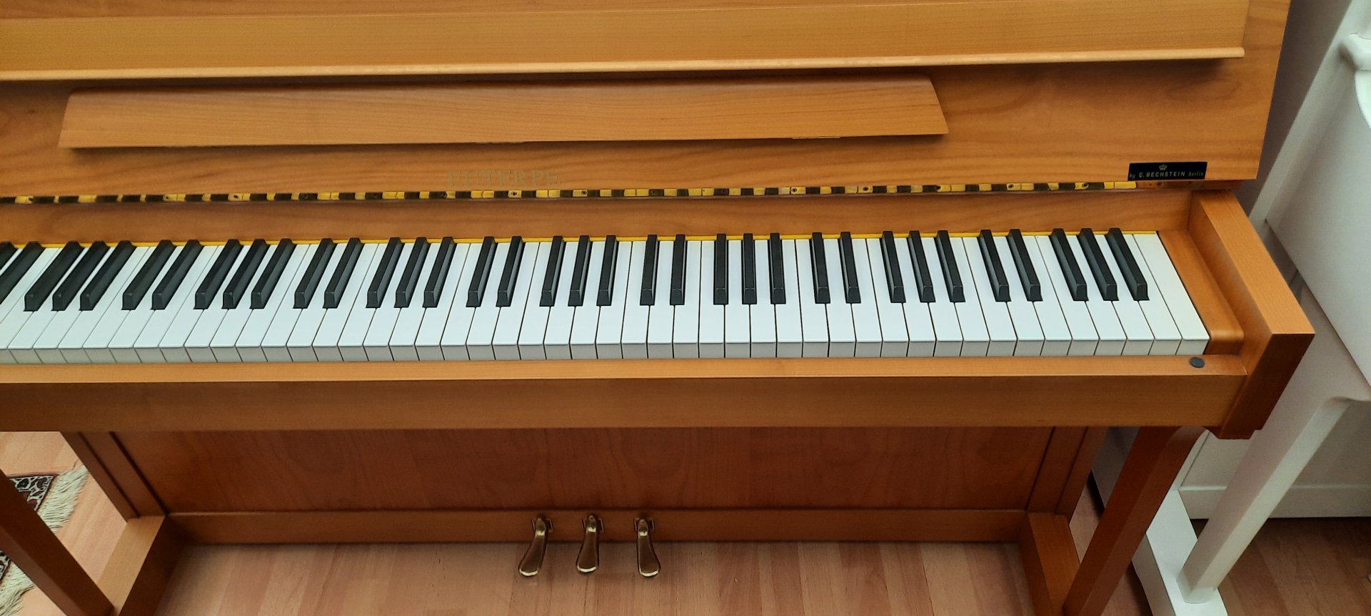 Euterpe 120 von 2003 in Kersen mat